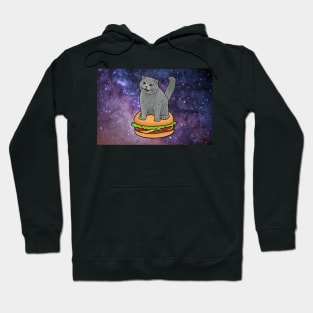 I CAN HAS CHEEZBURGER chubby meme cat in space Hoodie